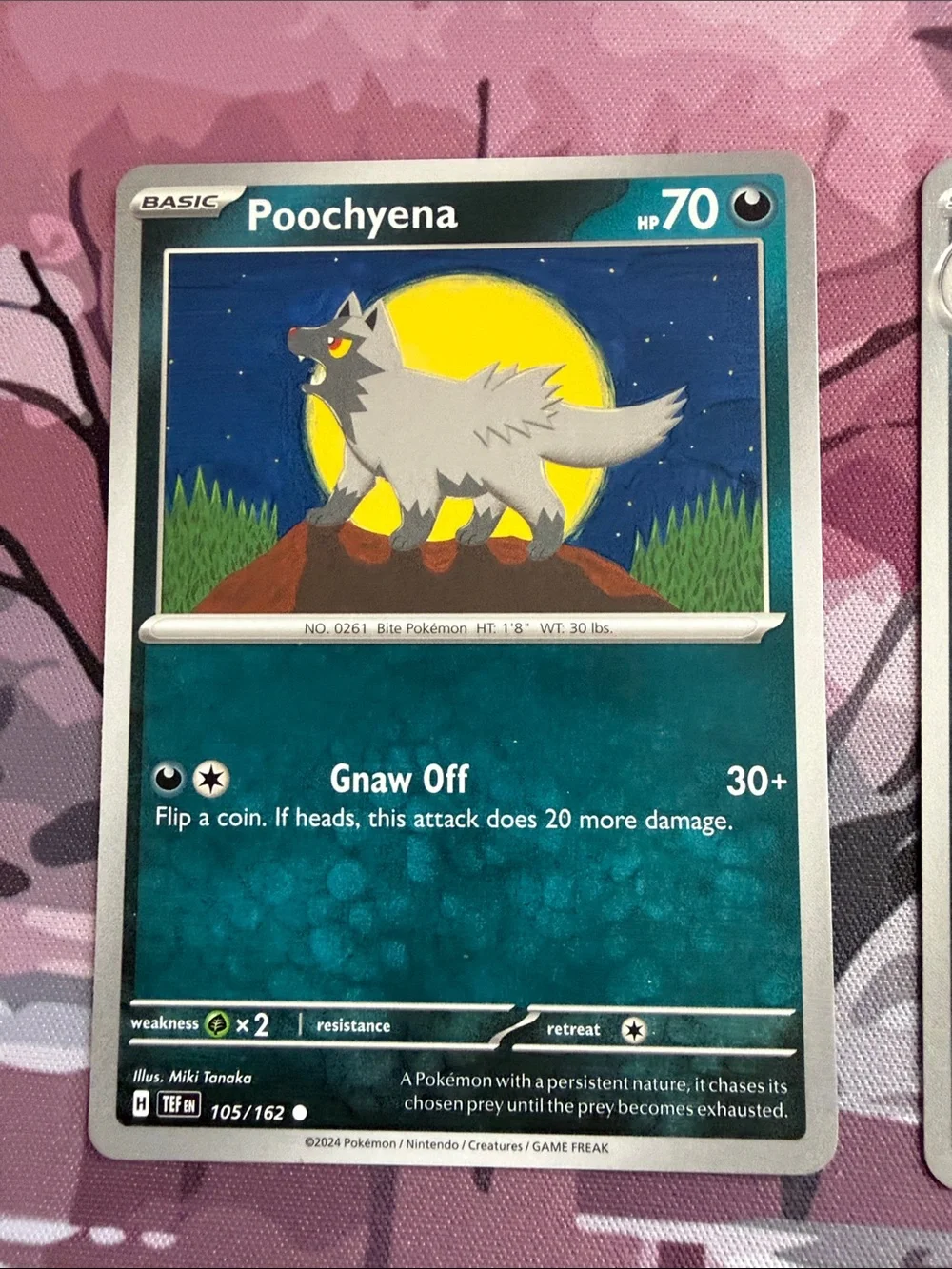Poochyena & Mightyena Evolution Lot | Temporal Forces + Astral Radiance| ✨5/$25✨